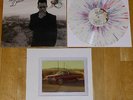PANIC AT THE DISCO Too Weird To Live LP COLOR VINYL /1000 fall out boy.paramore
