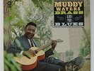 Muddy Waters 