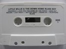LITTLE WILLIE & THE DOWN HOME BLUES BOY CASSETTE ONLY ISSUE NOT ON 33, 45 OR 78 