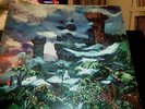 RARE ORIGINAL RECORD LP  BANCHEE THINKIN NEAR MINT PSYCHE ROCK.