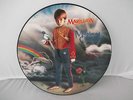 RARE Signed Picture Disc LP Marillion - Misplaced Childhood 1985