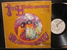 JIMI  HENDRIX  Are you experienced- LP RARE ORIG.1960'S  MONO PROMO WHITE LABEL