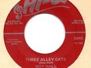 45 Roy Hall / Three Alley Cats / Bed Spring Motel / Hi-Q 5045