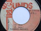 Hey Baby - FLAMING PHONICS - TOTAL SOUNDS - ORIGINAL - 1975 ??? [LISTEN]
