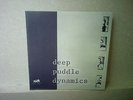 Deep Puddle Dynamics - Taste of Rain  LP  Anticon