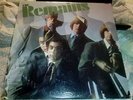RARE ORIGINAL LP RECORD THE REMAINS ON  EPIC PSYCHE GARAGE NEAR MINT.