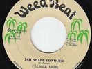 Palmer Bros - Jah Shall Conquer - RARE ROOTS