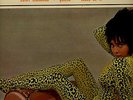 Roque Carbajo FIESTA TROPICAL LP Exotica cheesecake leppard skin sleeve L K