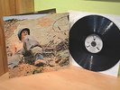 WARM DUST - PEACE FOR OUR TIME             TREND - RECORDS - Prog Rock