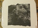 Mamiffer / Pyramids split #'d 12