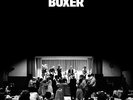 The National BOXER + MP3 Download Code New Sealed YELLOW COLORED Vinyl LP