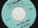TRANQUILITY SKA 45 THE WAILERS I'M GOING HOME/IT HURTS TO BE ALONE ?