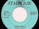 ODESSEY Adie's Grove STAIRCASE RARE Upper Michigan Femme Psych FUZZ LISTEN