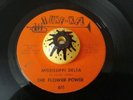 THE FLOWER POWER - MISSISSIPPI DELTA - VERY RARE RURAL PSYCH 45 TUNE KEL PRIVATE
