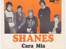 SHANES Without Your Love RARE swedish psych 45 Fading Yellow SWEDEN beat LISTEN