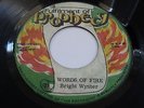 BRIGHT WYNTER - WORDS OF FIRE RARE FULFILMENT OF PROPHECY ROOTS 45