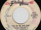 Gloria Walker & Chevelles - You Hit The Spot Baby - Killer Sister Funk Dancer 45