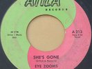 Rare Toledo Ohio Garage 45 - EYE ZOOMS - She's Gone - ATILA