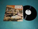 RARE 33T PROMO LABEL BLANC  LED ZEPPELIN  HOUSES OF THE HOLLY