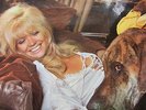 LP The Amazing Blondel and a few faces  Bell Original Press EX- / EX-