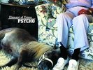 ELEMENT OF CRIME-PSYCHO-VINYL LP VERTIGO BE NEU