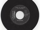 Outcasts-Loving You Sometimes / Sha-La-La-Plato 80285 Garage Fuzz