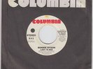 70s Soul 45 - Ronnie Dyson - Lady In Red - Columbia - mp3