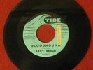 LARRY BRIGHT 
