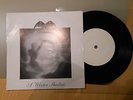Tiamat a winter shadow rare 7