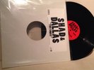 City And Colour Shad & Dallas 12