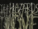 Hazards Of Love - Decemberists (2009, Vinyl New)