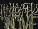 Decemberists - Hazards Of Love (2009, Vinyl NEW)
