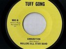 Wailers All Star Band 