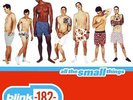 ALL THE SMALL THINGS 12