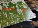 JETHRO TULL    - THIS WAS -   RARE GERMAN PINK ISLAND PRESS INKL GIANT POSTER