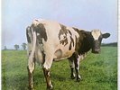 LP Pink Floyd - Atom Heart Mother - Harvest 1C 072-04 550 - 1974 - foc - mint-