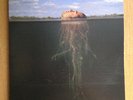 The Mars Volta De Loused In The Comatorium New Silver LP Damaged Cover + poster