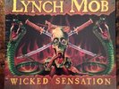The Lynch Mob 