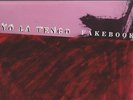 Orig 1990 YO LA TENGO Fakebook LP Bar None Indie EX Condition