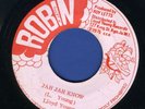 1122 LLOYD YOUNG-JAH JAH KNOW-ROBIN-1975 REGGAE 45 7