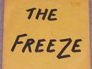 THE FREEZE 
