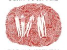 OLSEN,ANGEL-BURN YOUR FIRE FOR NO WITNESS-VINYL LP JAGJAGUWAR NEW