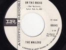 TITTYSHAKER / GARAGE INSTRO 45 Wailers - On The Rocks / Mashi