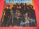 THE RAMONES VERY RARE SIGNED PUNK LP RECORD ANIMAL BOY SIGNED RAMONES RECORD