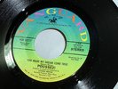 Poussez  : I'm Never Gonna Give My Love. / You Made My Dream ... [Unplayed Copy]