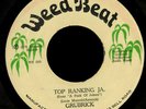 ? Grubrick - Top Ranking JA / Weed Beat 7
