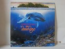 The Beach Boys Summer In Paradise LP