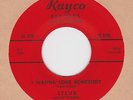 NORTHERN SOUL / R&B Dancer Steve and The Dynamics on RAYCO Listen