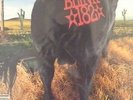 Blink 182 Dude Ranch Mts First Press Black 180 Gram Vinyl 12
