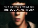 Trent Reznor & Atticus Ross, The social network 2LP, Nine inch nails